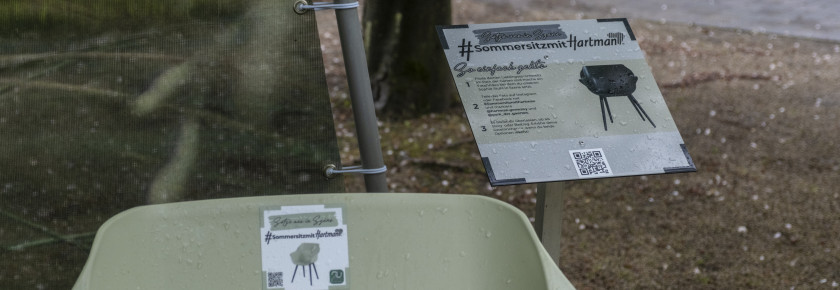 DSF9406 Kopie