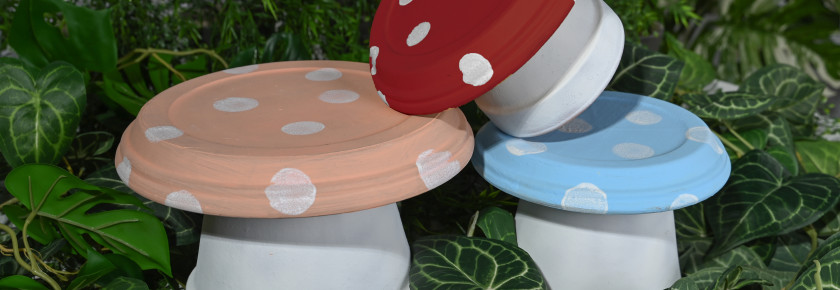 Cherry Red Toadstool v2