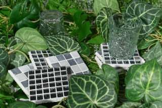 Die DIY Untersetzer in grünen Blättern und Pflanzen und dekorativen Gläsern